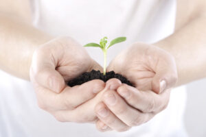 Een ontkiemend plantje groeit uit aarde in twee witte handen