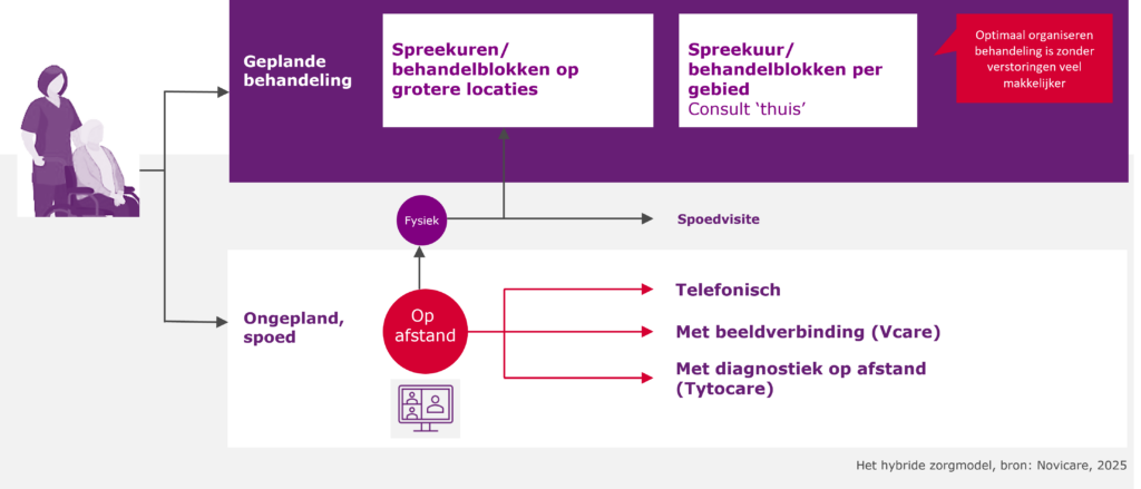 Het hybride zorgmodel